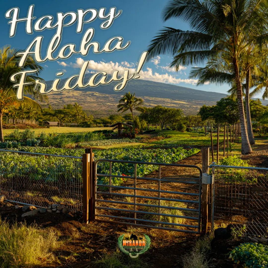 Big Island coffee farm with wire mesh fence, cedar posts, and custom metal gate at golden hour