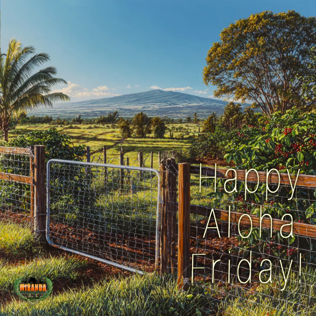 Big Island coffee farm with Kohala volcano, wire fence and custom gate at golden hour