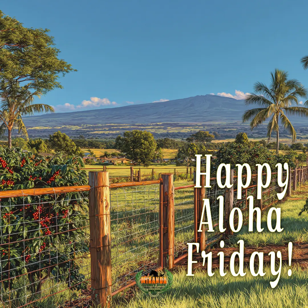 Big Island coffee farm with Hualalai volcano, wire fence and custom gate at golden hour