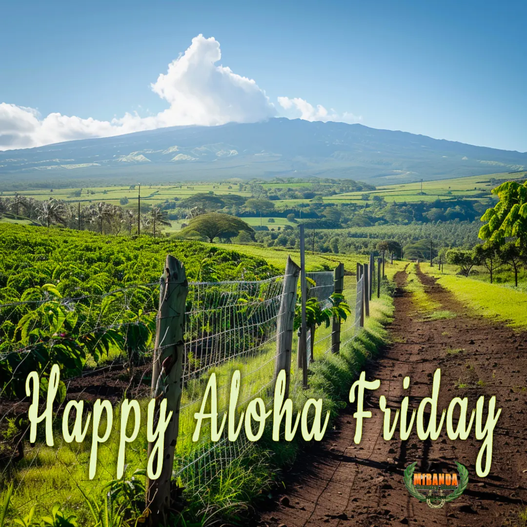 Rural Big Island landscape with coffee farm, wire mesh fence, cedar posts, and custom metal gate under sunny skies