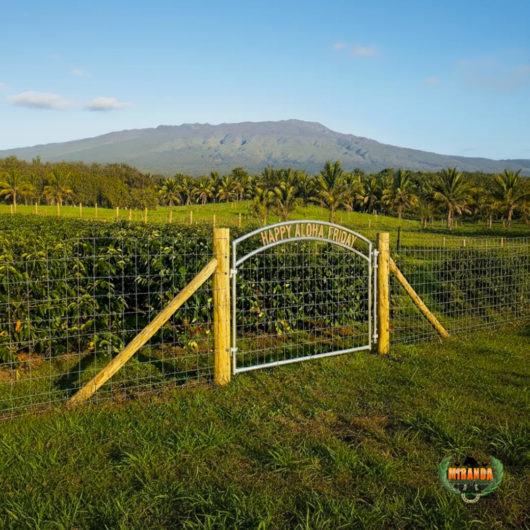 Big Island ranch with galvanized wire mesh fence, custom gate, macadamia trees, and Mauna Loa