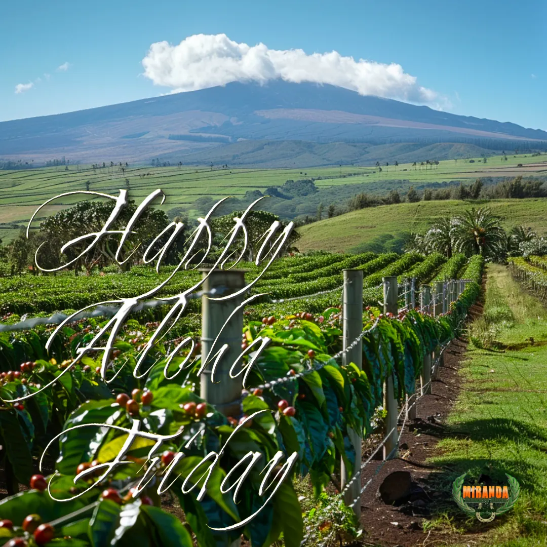 Big Island coffee farm with wire mesh fence, cedar posts, and custom metal gate at golden hour