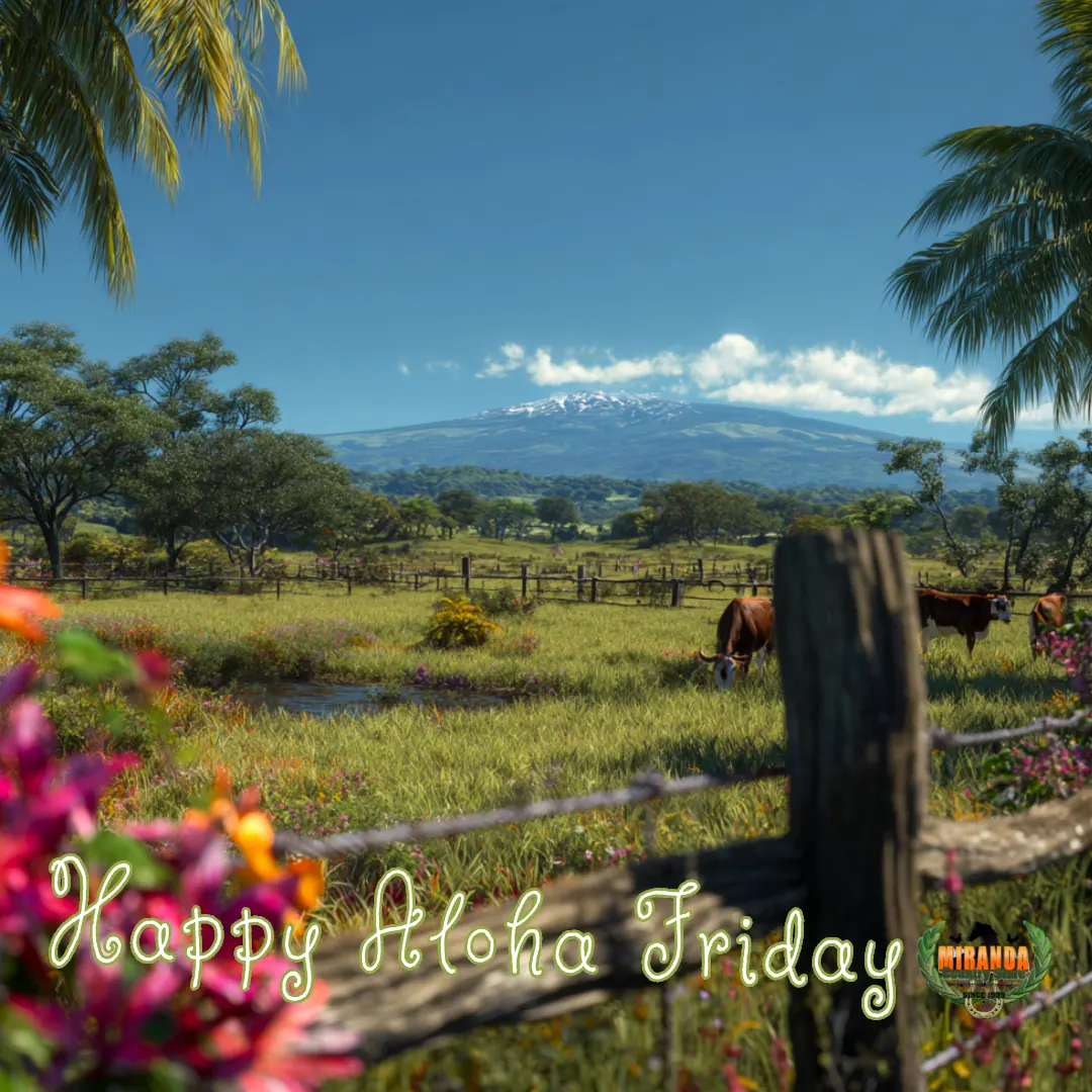 Sunny rural Hawaiʻi ranch scene with green pastures, grazing cattle, sturdy fencing, and Mauna Kea