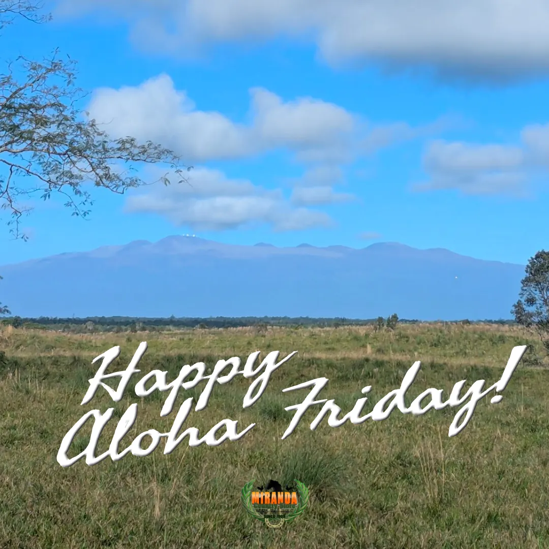 Green Hawaiian pasture with Mauna Kea