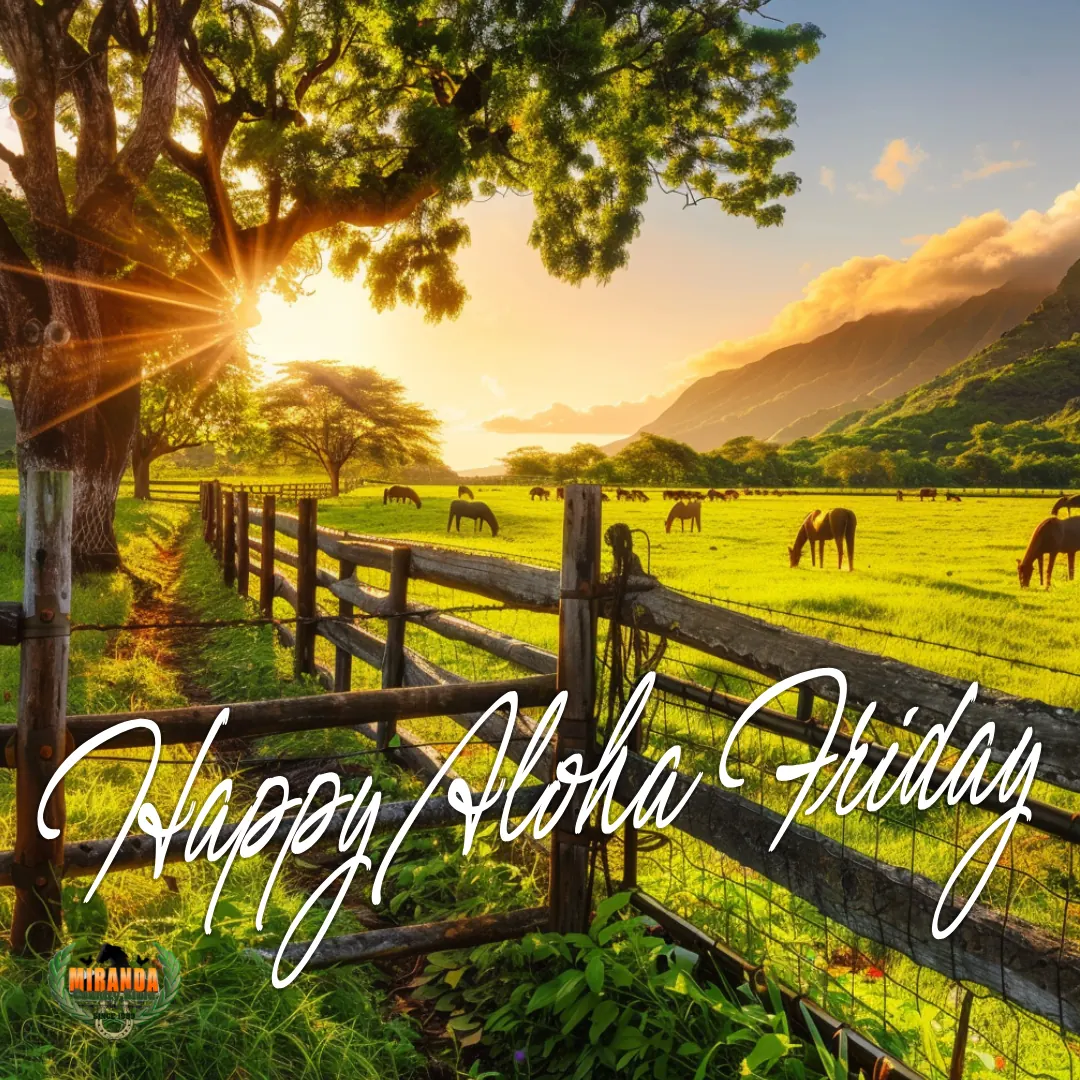 Hawaiʻi Island farm at sunset with red barn, grazing cattle and horses, Miranda Country Store sign