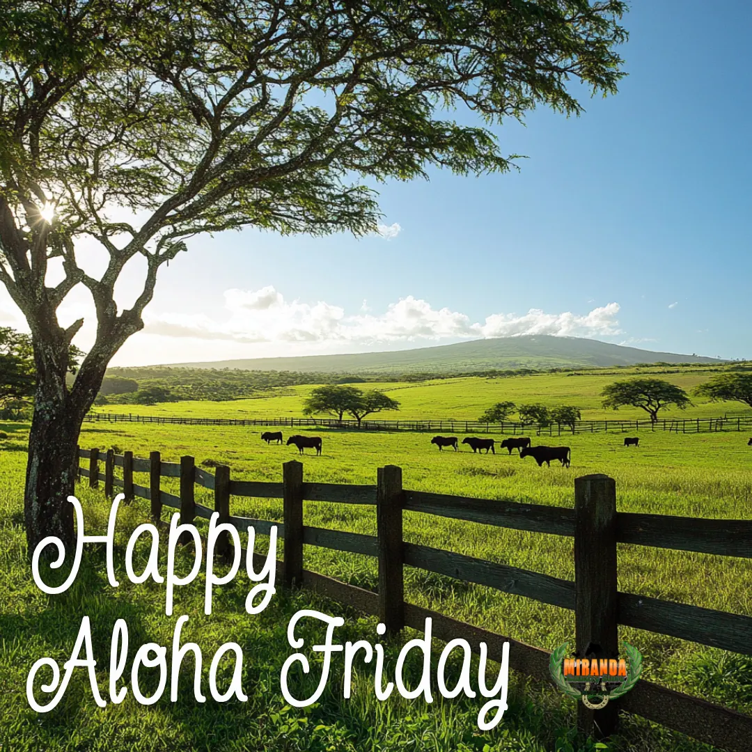 Bright sunny rural Hawaii landscape with lush green pastures, wooden fence, grazing cattle, and Mauna Kea