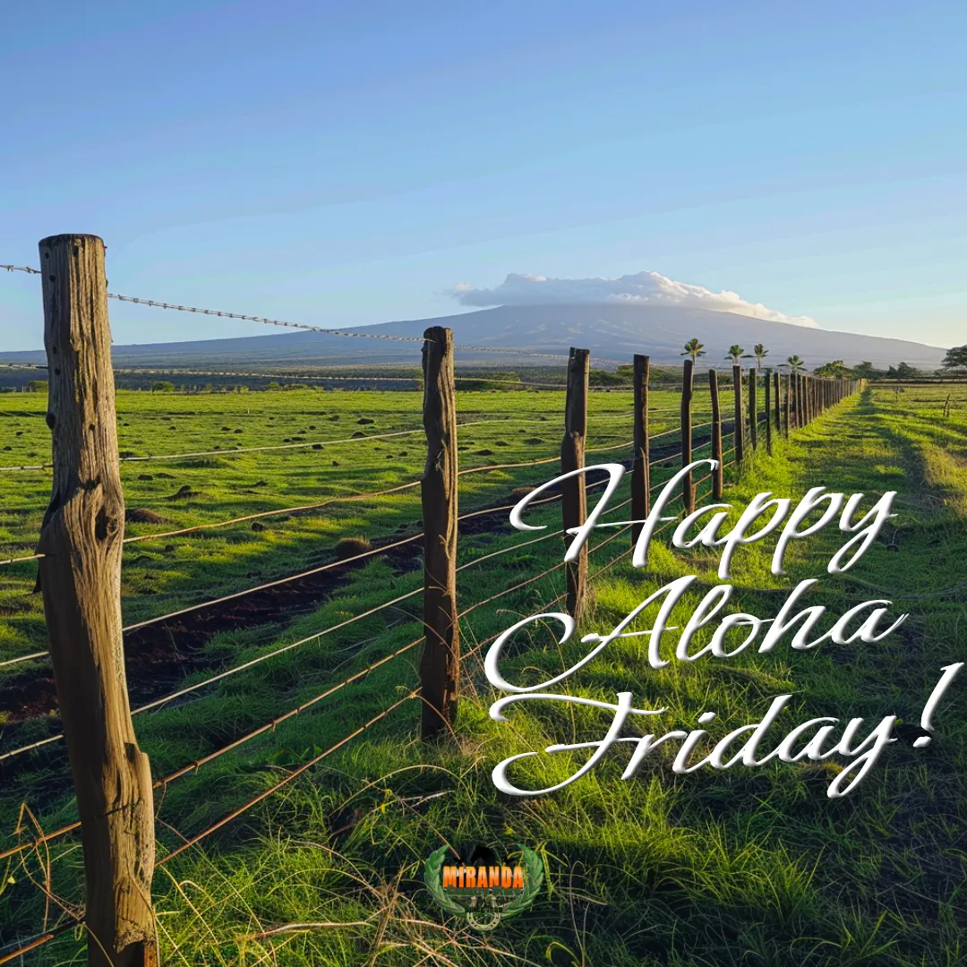 Golden-hour ranch pasture with Mauna Kea