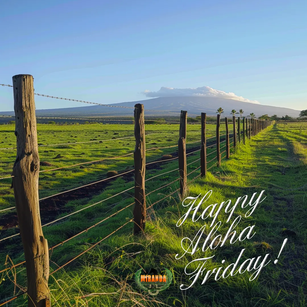 Golden-hour Big Island ranch with Mauna Kea and wooden fence, Happy Aloha Friday