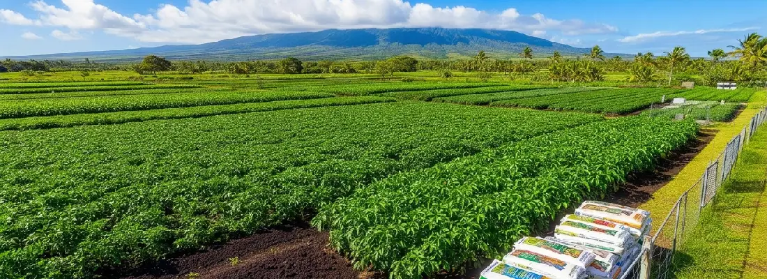 Fertilizers and herbicides for Hawaii farms — Miranda Country Store in Keaau