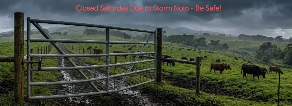 Closed Saturday, September 26 for Hurricane Nolo