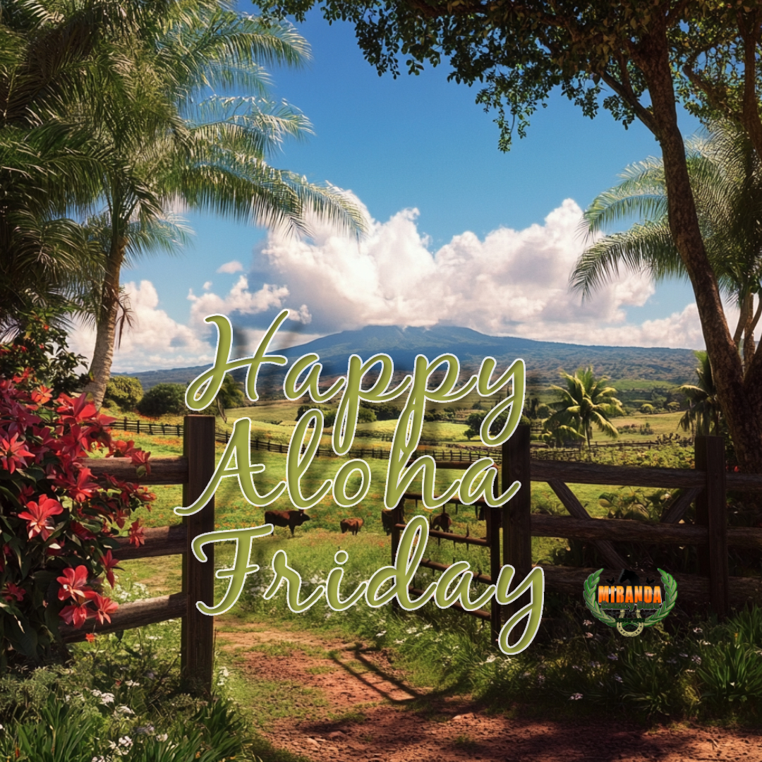 A vibrant rural Hawaiian scene on a sunny Friday afternoon featuring lush green farmland with a clear view of Mauna Loa in the background. In the foreground, a sturdy wooden gate and high-quality fencing frame a small pasture with grazing cattle. Tropical flowers and palm trees add splashes of color, creating a warm and inviting atmosphere that reflects the charm of rural Hawai‘i.