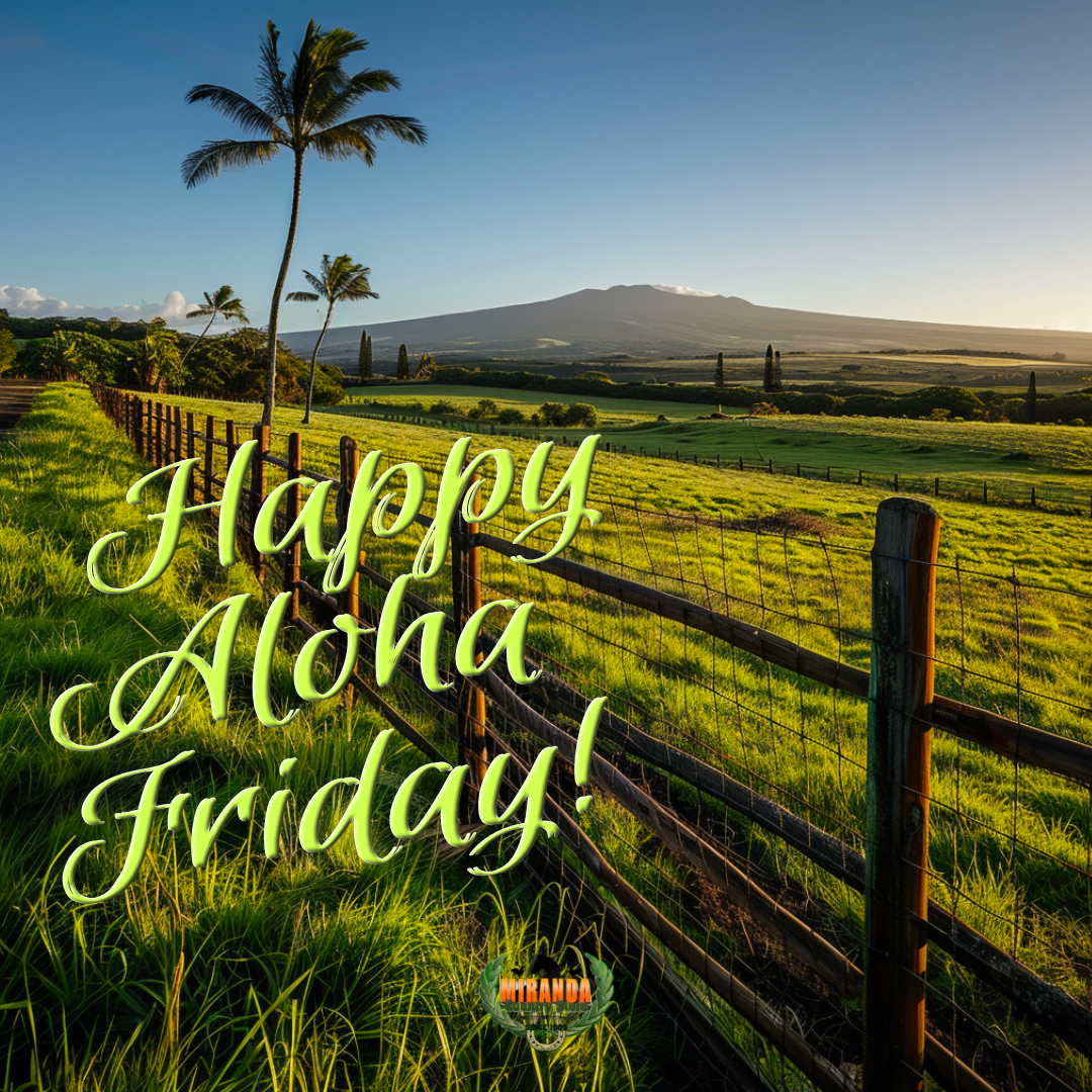 Golden hour on Hawaii Island with Mauna Kea sunset and a line of ranch fencing in the foreground.