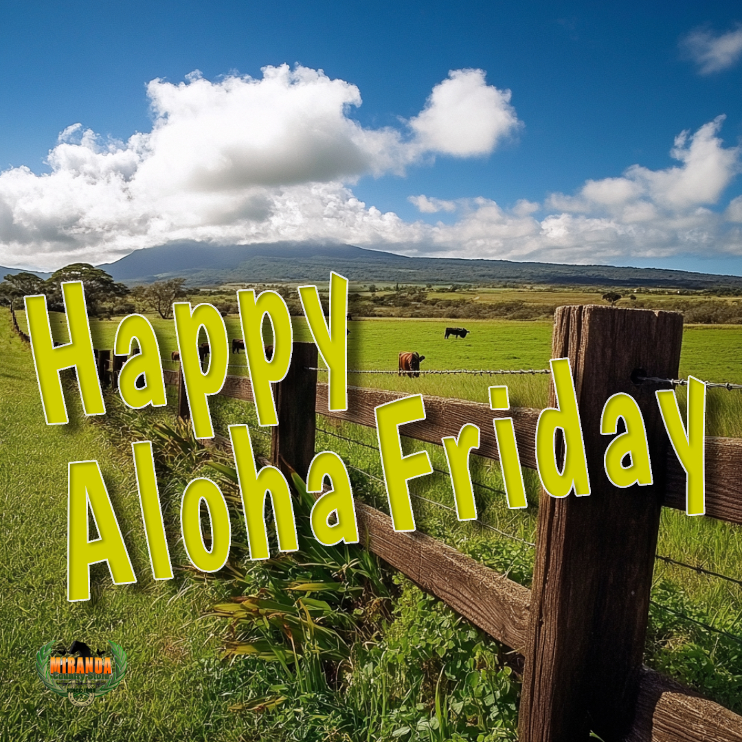 Hawaiian farm and ranch landscape on a sunny Aloha Friday, featuring a durable wooden and wire fence enclosing lush green pastures with grazing cattle. Mauna Loa rises in the background, highlighting the beauty of rural Hawaii. This image represents the hardworking farm and ranch lifestyle, quality fencing supplies, and agricultural support available at Miranda Country Store in Hilo, Hawaii.