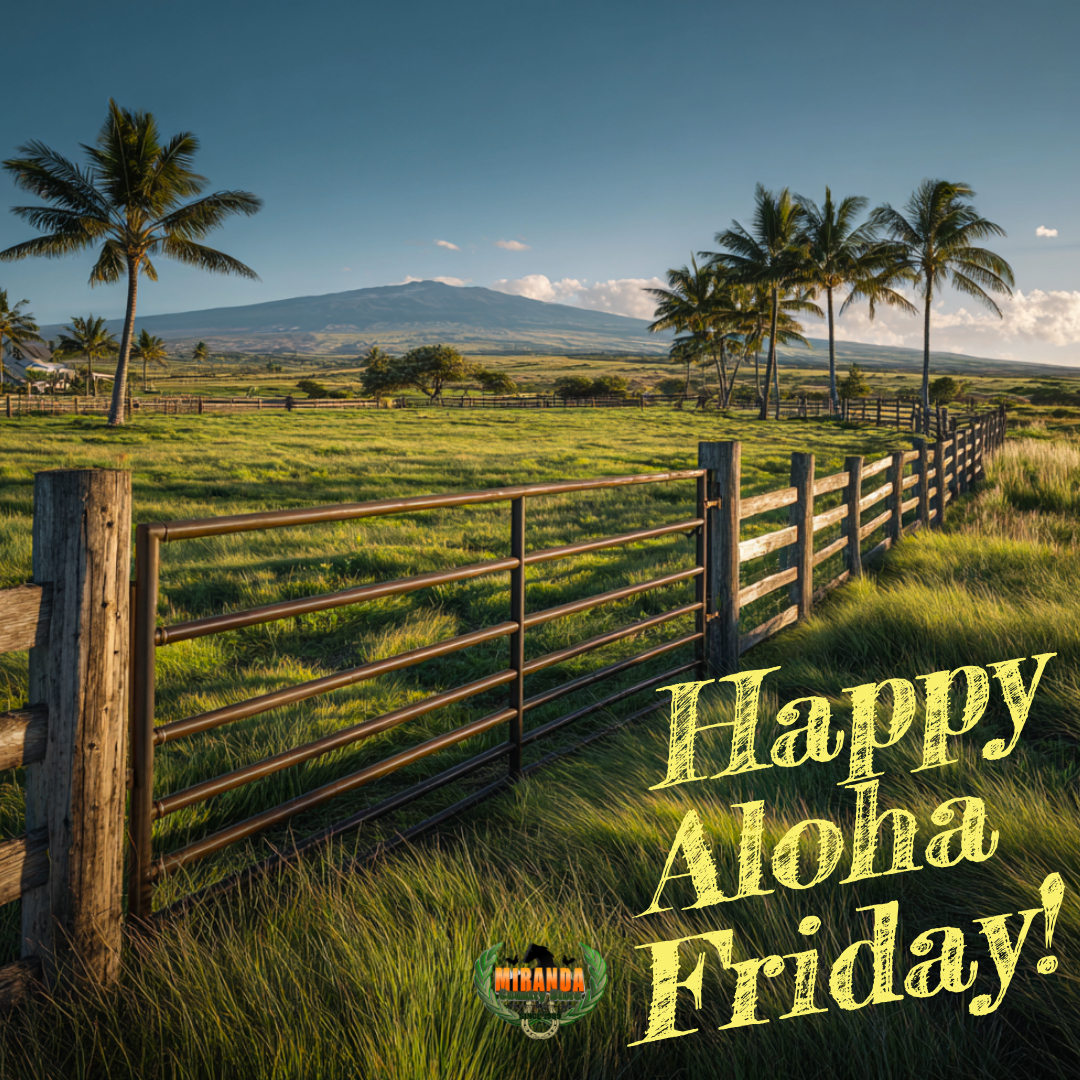 A vibrant green pasture with a metal ranch gate and wooden fence in the foreground. Tropical palm trees and a broad, gentle shield volcano are visible under a clear blue sky in the background. The text "Happy Aloha Friday!" in yellow script and the Miranda Country Store logo are located near the bottom right.