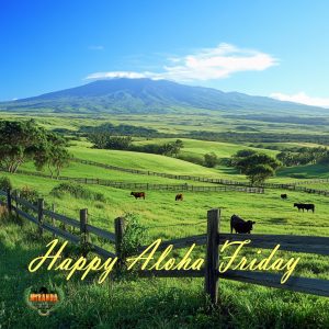 A photorealistic image of a rural ranch in Hawai‘i on a sunny afternoon. Rolling green pastures are enclosed by strong wooden and wire fencing, with cattle grazing peacefully. In the background, Mauna Kea rises against a bright blue sky with a few wispy clouds. A local paniolo on horseback rides in the distance, adding to the authentic ranching scene. Palm trees and tropical greenery frame the landscape, bathed in warm sunlight.