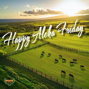 A high-resolution aerial view of a tropical Hawaiian farm showing lush green pastures, grazing cattle, and strong, high-quality fencing. The landscape features rolling hills, tropical trees, and ocean view.