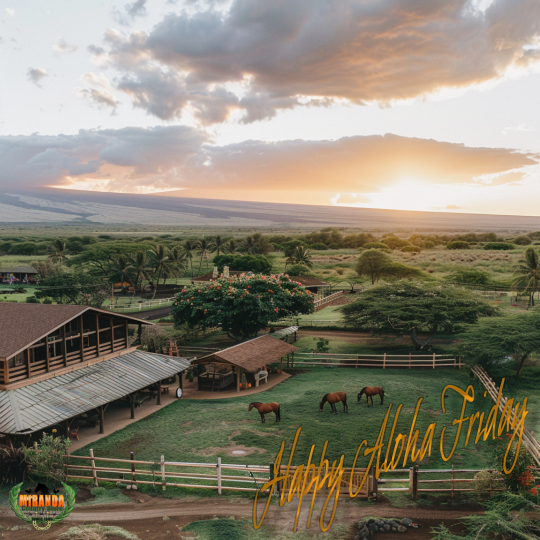 Photorealistic rural Hawaii ranch scene with green pasture, grazing cattle, and sturdy fencing in the foreground. Mauna Kea rises in the background under a blue sky, surrounded by native vegetation. The scene captures a peaceful Aloha Friday mood.