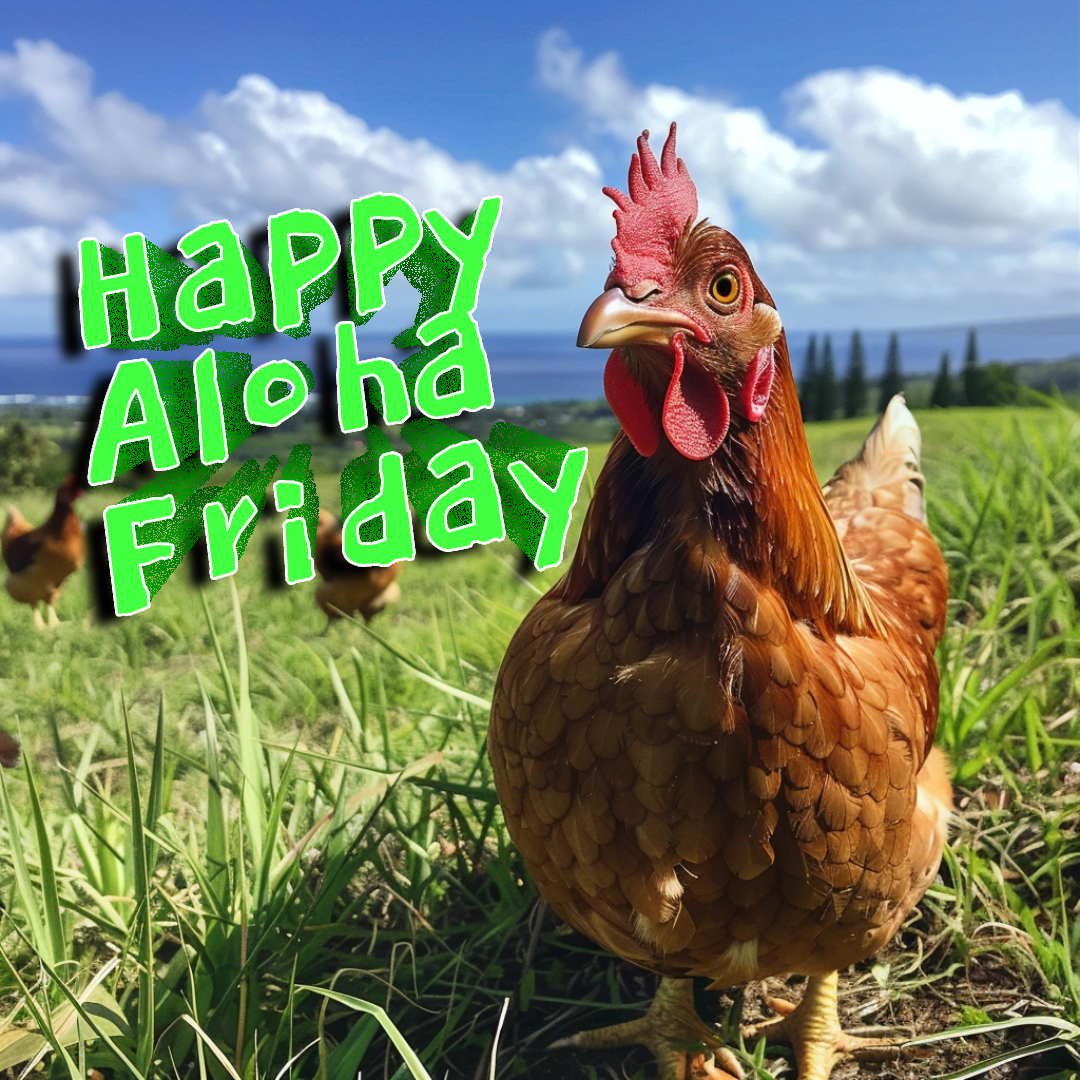 Photo of a chicken in Hawaii wishing everyone a Happy Aloha Friday from Miranda Country Store