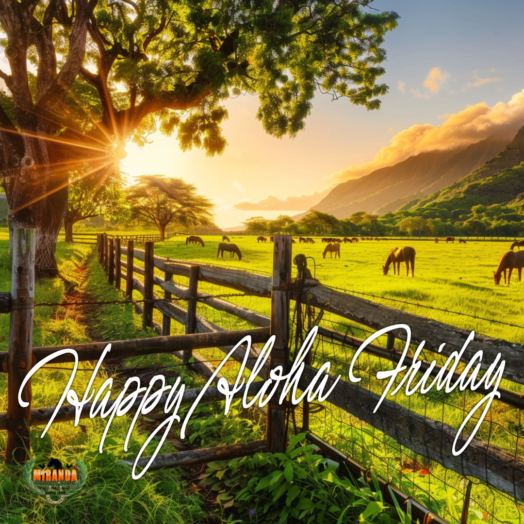 A photorealistic scene of a Hawaiʻi Island farm at sunset, featuring a red barn and green pastures with grazing cattle and horses. A wooden sign reading "Miranda Country Store" sits among hay bales in the foreground, framed by tropical ti leaves and hibiscus. Mauna Kea looms faintly in the distance under a colorful sky, capturing the warm aloha spirit of a rural ranch.