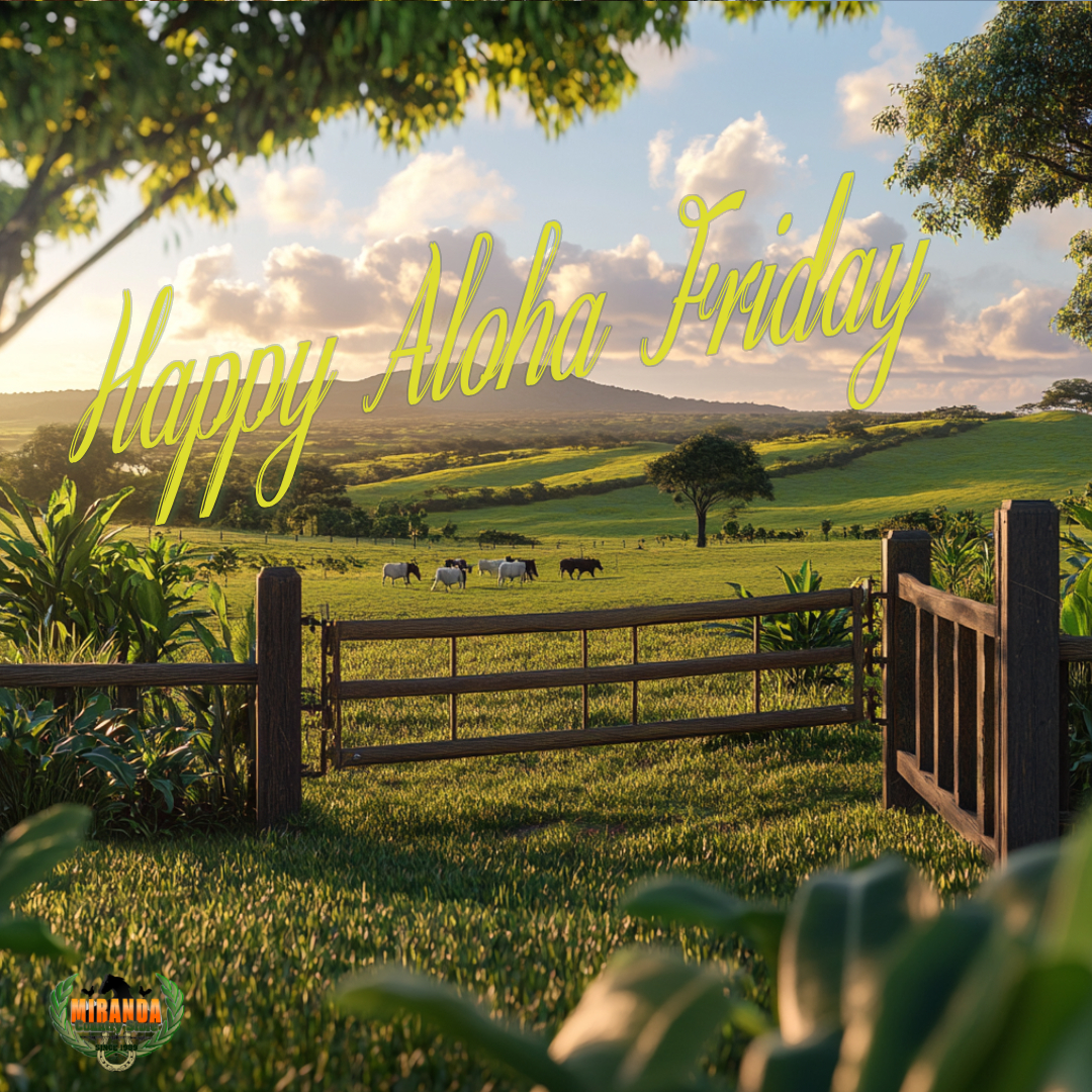 A sunrise farm scene on Hawaiʻi Island, capturing a small rustic barn and grazing goats in lush pastures. A coral fence and tropical plants frame the tranquil landscape under a soft pastel sky, evoking the humble aloha spirit of rural life.