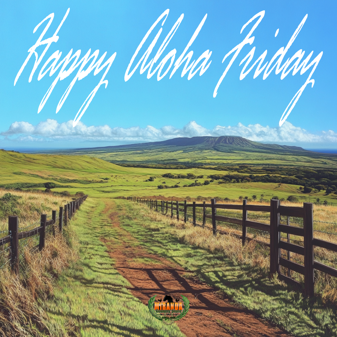 Photorealistic scene of rural Hawaiʻi on a sunny day, featuring a lush green pasture with grazing horses and cattle. A sturdy wire fence in the foreground, while Kohala Mountain rises in the distance under a bright blue sky. The landscape is peaceful and vibrant, capturing the essence of an Aloha Friday on the Big Island.