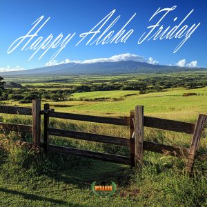 Photorealistic image of a Hawaiian ranch on a sunny Aloha Friday, featuring green fields, a sturdy cattle fence, grazing animals, and the Kohala Mountains in the background.