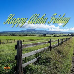 Photorealistic image of a tropical pasture near Hilo, Hawaiʻi with sturdy ranch fencing and a steel gate, grazing livestock, and Mauna Kea in the background under a clear sky.