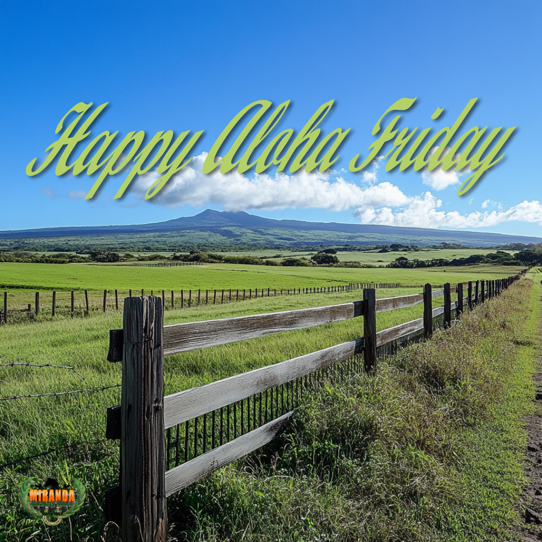 Photorealistic image of a tropical pasture near Hilo, Hawaiʻi with sturdy ranch fencing and a steel gate, grazing livestock, and Mauna Kea in the background under a clear sky.