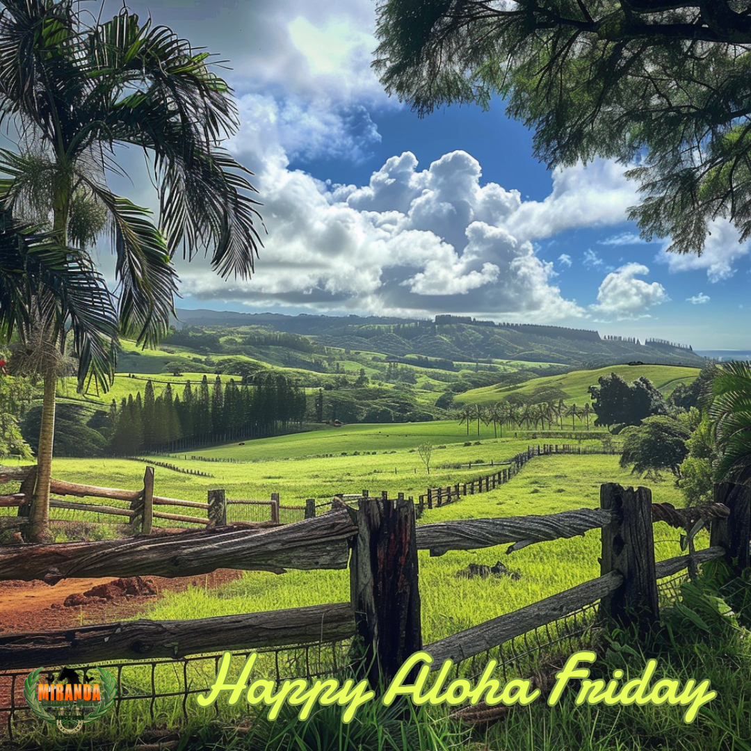 Photo of a farm and ranch in the Hamakua region of North Hilo District of Hawaii Island. Blue skies, green pastures, palm tree and custom fencing.