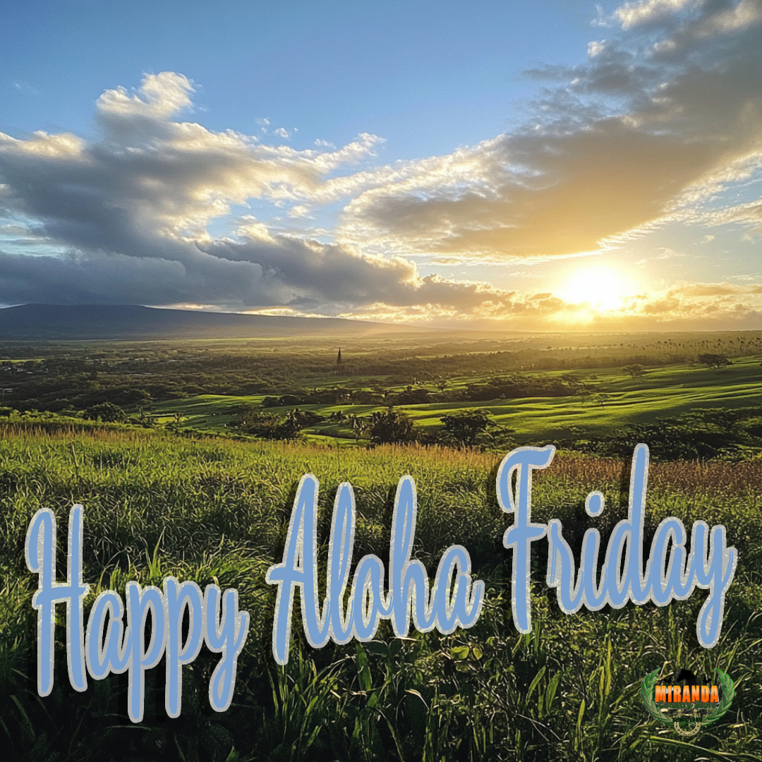 Wide open pasture land with the mauna in the background and an epic sunset.