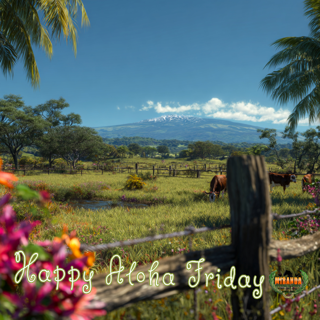 Sunny rural Hawaiʻi ranch scene with green pastures and grazing cattle, sturdy fencing in the foreground, and Mauna Kea rising in the background under clear blue skies. Palm trees and tropical flowers frame the landscape, creating a cheerful and laid-back Aloha Friday atmosphere.