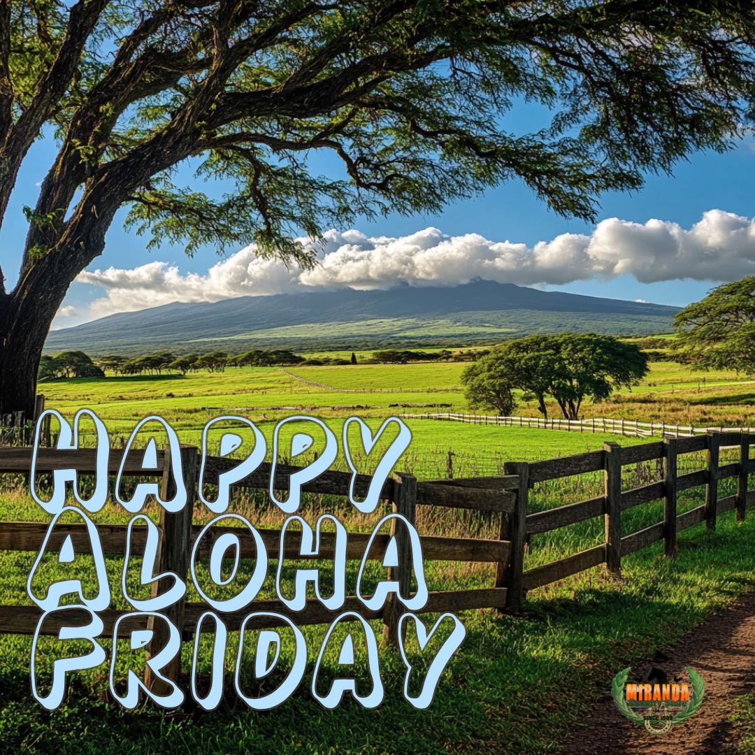 A peaceful rural Hawaiian ranch with lush green fields, framed by a well-maintained wooden fence, and Mauna Kea rising in the background. The image captures the relaxed beauty of an Aloha Friday on the Big Island.