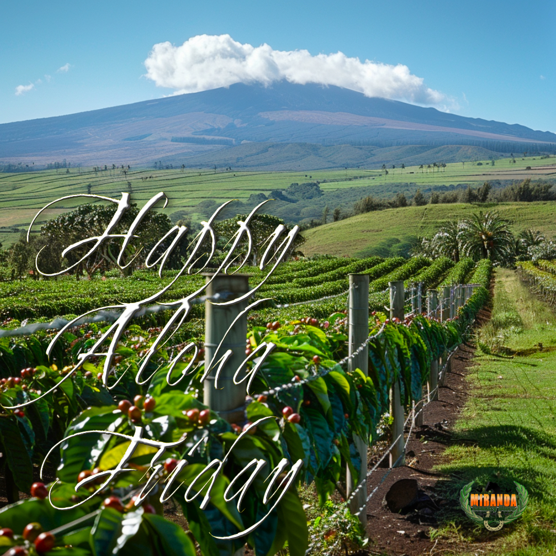 Photorealistic rural Big Island Hawaiʻi landscape on a sunny afternoon, showcasing Mauna Kea’s dormant shield volcano in the background with gentle slopes under a clear blue sky. The foreground features a small, well-tended coffee farm with rows of vibrant green coffee plants and ripe red cherries, a high-quality wire mesh fence with polished cedar posts, and a custom-crafted metal gate with intricate, functional design. Lush green pasture and swaying coconut palms bask in warm golden hour sunlight, casting soft shadows for an authentic Aloha Friday vibe.