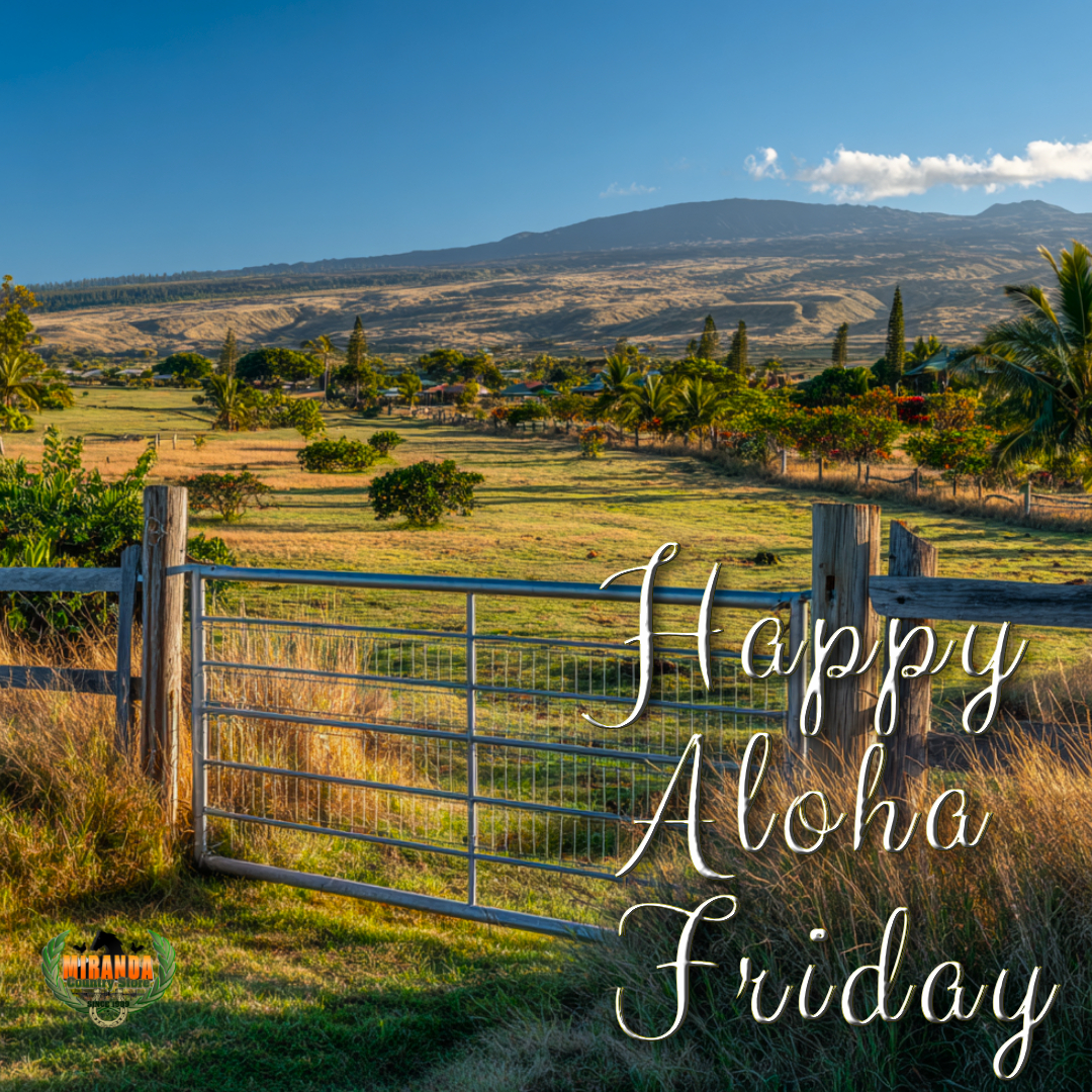 rural Big Island Hawaiʻi landscape on a sunny afternoon, showcasing Mauna Kea’s dormant shield volcano in the background with gentle slopes under a clear blue sky. The foreground features a small, well-tended coffee farm with rows of vibrant green coffee plants and ripe red cherries, a high-quality high-tensile galvanized steel wire mesh fence with fixed-knot mesh and sturdy pressure-treated cedar posts featuring a smooth polished finish, and a custom-crafted galvanized welded metal gate with intricate functional ranch-style pickets and reinforcements. Lush green pasture and swaying coconut palms bask in warm golden hour sunlight, casting soft shadows for an authentic Aloha Friday vibe.