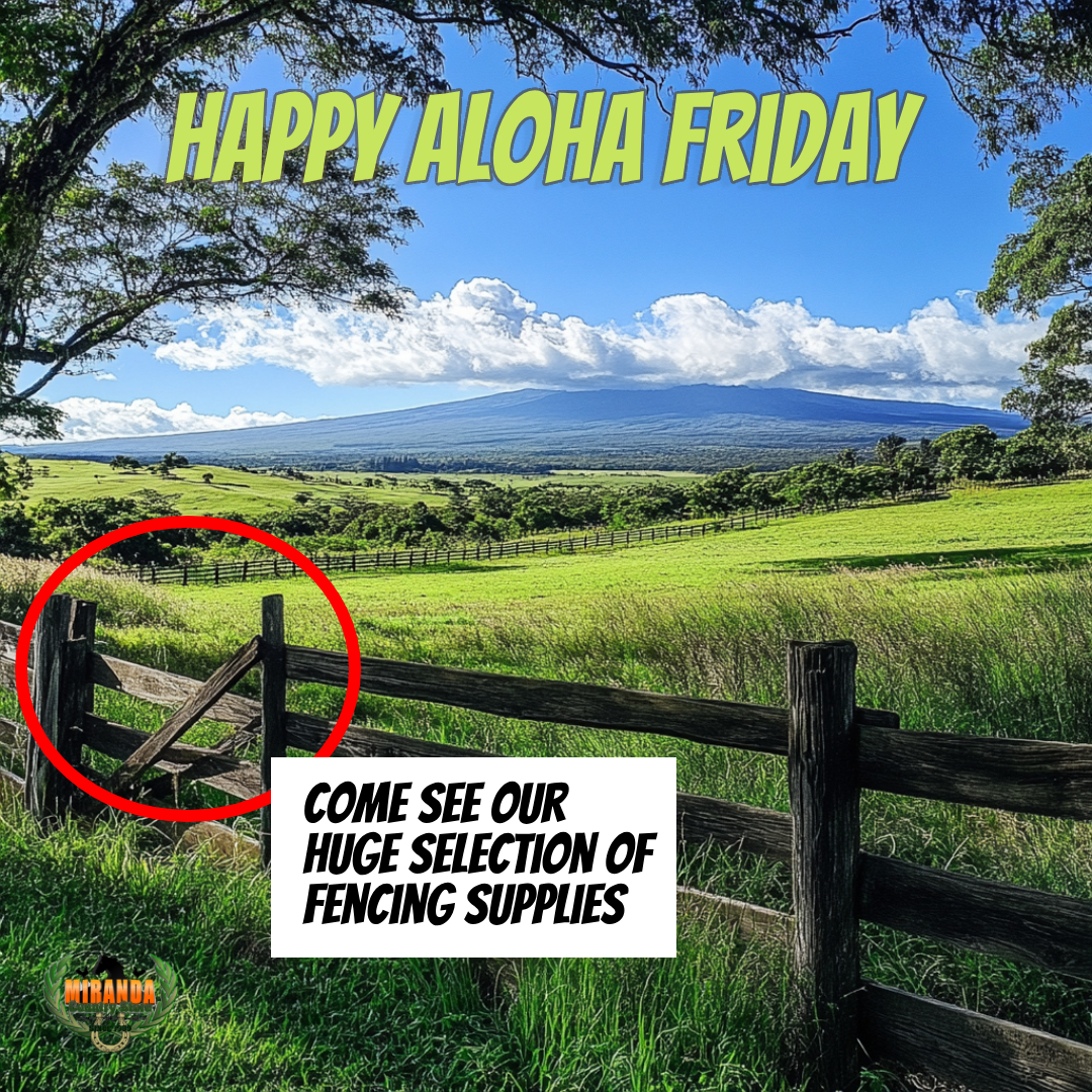 A scenic farm on the Big Island of Hawaiʻi with Mauna Kea in the background, ranch fencing, and lush green pastures.