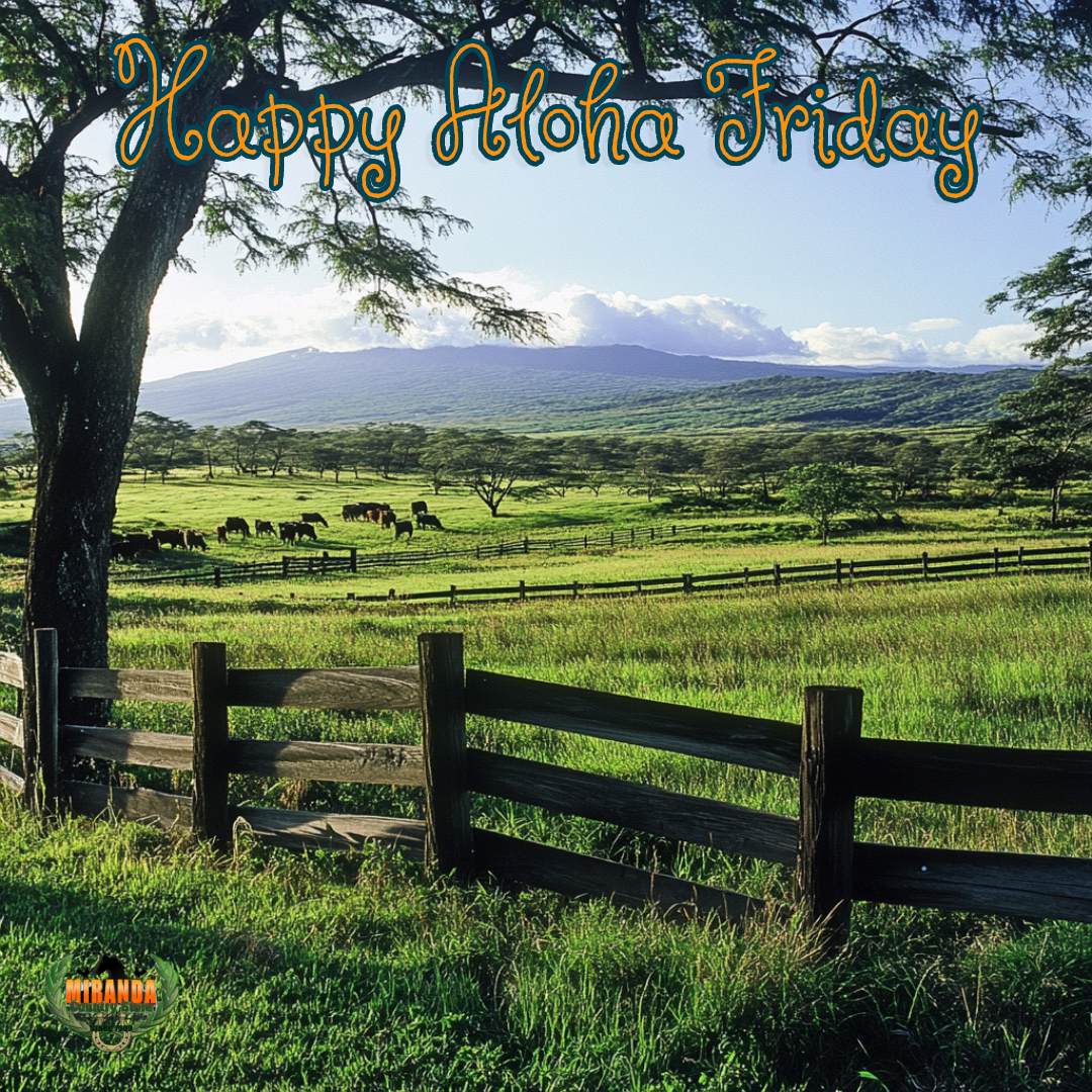 A serene ranch on Hawaiʻi Island with green pastures, wooden fences, and grazing animals, set against the backdrop of Mauna Loa under soft lighting, evoking a peaceful Aloha Friday.