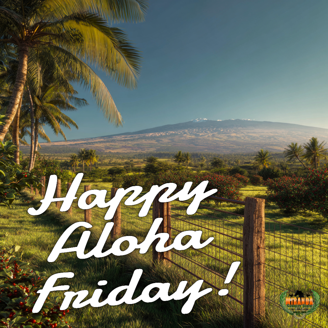 Photorealistic rural Big Island Hawaiʻi landscape on a sunny afternoon, showcasing Mauna Kea’s dormant shield volcano in the background with gentle slopes under a clear blue sky. The foreground features a small, well-tended coffee farm with rows of vibrant green coffee plants and ripe red cherries, a high-quality wire mesh fence with polished cedar posts, and a custom-crafted metal gate with intricate, functional design. Lush green pasture and swaying coconut palms bask in warm golden hour sunlight, casting soft shadows for an authentic Aloha Friday vibe.