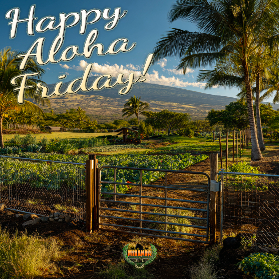 Photorealistic rural Big Island Hawaiʻi landscape on a sunny afternoon, showcasing Mauna Loa’s active shield volcano in the background with gentle slopes under a clear blue sky. The foreground features a small, well-tended coffee farm with rows of vibrant green coffee plants and ripe red cherries, a high-quality wire mesh fence with polished cedar posts, and a custom-crafted metal gate with intricate, functional design. Lush green pasture and swaying coconut palms bask in warm golden hour sunlight, casting soft shadows for an authentic Aloha Friday vibe.