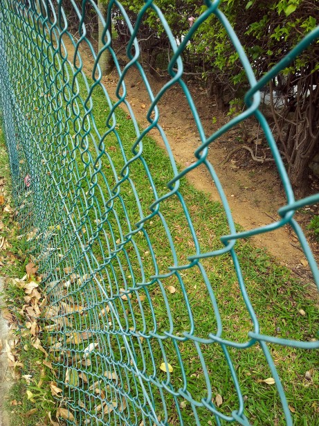 Green Fuse Bonded Fencing
Green colored chain link for sale